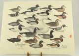 Lot #624 - Paul Shertz print of Charlie Joiner, Chestertown, MD decoys artist proof signed and