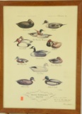 Lot #646 - Framed Print of Shang Wheelers Decoys by Milt Weiler with Personalized message: To