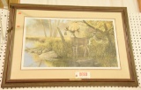 Lot #690 -?Hole in the Horn Buck? framed Boone and Crockett World Record Non-Typical print by