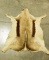 Lot # 4602 - African Antelope hide 41” x 28”