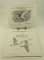 Lot # 4651 - (3) Consecutive Year Duck Stamp prints all signed and numbered with original folders