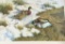 Lot # 4686 - Framed print of Mallards in Snow S/N William Hollywood 303/750