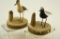 Lot # 4823 - (2) Paul Nock, Salisbury, MD miniature carved shorebirds signed and dated 1981 4”