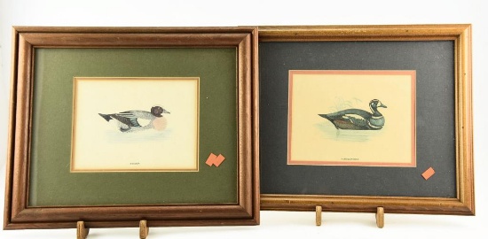 Lot # 4604 - (2) Framed duck prints: Widgeon and Harlequin (17” x 13”)