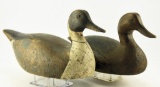Lot # 4789 - 1930 Ward Brothers Working model Pintails Drake and Hen in original paint (this is