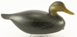 Lot # 4797 - Beautiful carved Black Duck by George Strunk signed in lead on underside excellent