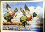 Lot # 4895 - Framed Comical print of Ducks by Daniel Bush signed lower right (20” x 30”)