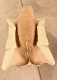 Lot # 4701 - African Antelope pelt 32” x 42”