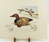 Lot # 4746 - 1975-1976 Federal Migratory Bird Hunting Stamp Design print of Mason Factory