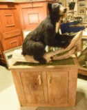 Lot # 4781A - Canadian Black Bear taxidermy on custom made two door natural finish cabinet