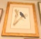 Lot # 4130 - Print of Ultramarine Grosbeak by Axel Amuchastegui. Has been professionally framed