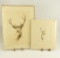 Lot # 4192 - (2) Etchings of deer by Sandy Scott to include “Whitetail Deer” & “Muley (Mule