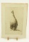 Lot # 4193 - Limited edition “Guinea-Fowl” by Sandy Scott. Print is signed by the artist in