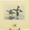 Lot # 4322 - Limited edition 1st edition 1969 -1970 Federal Duck Stamp print by Maynard Reese.