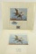 Lot # 4325 - (2) Limited edition 1980 Oklahoma First of State Duck Stamp “Pintails” prints by