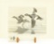 Lot # 4341 - Limited edition first edition 1969 Federal Duck Stamp print by Maynard Reece. Signed