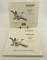 Lot # 4425 - (3) Limited edition 1987-1988 Kansas Waterfowl Habitat prints by Guy Coheleach to