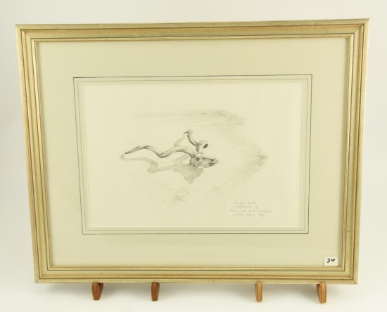 Lot # 4081 - Pencil drawing by Larry Norton titled “Kudu Skull”. Signed and dated 93. Has been