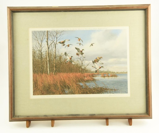 Lot # 4123 - “Back Bay Mallards” print by David A Maass. Published jointly in 1973 by Wild Wings