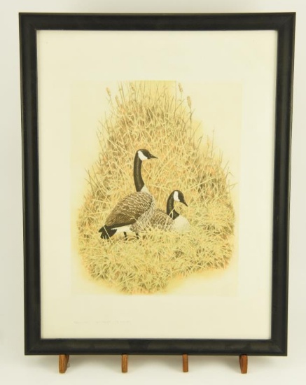 Lot # 4131 - Unsigned printing sample of geese print titled “At Rest”. The piece is not signed
