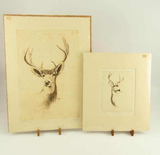 Lot # 4192 - (2) Etchings of deer by Sandy Scott to include “Whitetail Deer” & “Muley (Mule