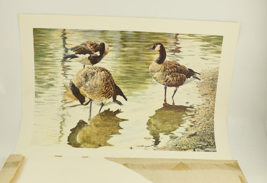 Lot # 4217 - Approximately (51) “Waters Edge” prints by Scott Woolever. Published by Sportsman’s
