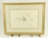 Lot # 4081 - Pencil drawing by Larry Norton titled “Kudu Skull”. Signed and dated 93. Has been