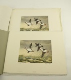 Lot # 4082 - (2) Limited edition US Department of the Interior Migratory Bird Hunting stamps and