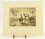 Lot # 4087 - First edition “1958-1959 Federal Duck Stamp Design” etching of Canada Geese. Signed