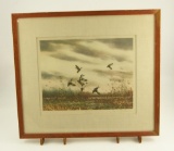 Lot # 4124 - “Pintails” print by David Hagerbaumer. Signed in pencil. Published in 1967 by Frost