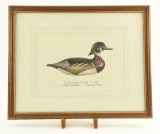 Lot # 4129 - “Wood Duck Drake – 1920 Joseph Lincoln Accord, Mass.” By M.C. Weiler. Signed in