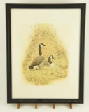 Lot # 4131 - Unsigned printing sample of geese print titled “At Rest”. The piece is not signed