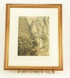 Lot # 4133 - Artist signed and numbered print of bird in tree. Signature is indiscernible but