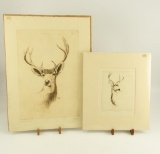Lot # 4192 - (2) Etchings of deer by Sandy Scott to include “Whitetail Deer” & “Muley (Mule