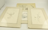 Lot # 4230 - (3) Larry Norton pencil drawings and (1)1981 International Wildlife Foundation