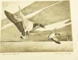 Lot # 4335 - 2nd Printing 1962-1963 Federal Migratory Bird Hunting Stamp by Edward J. Bierly.