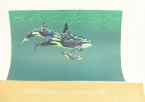 Lot # 4350 - Approximately (100) “Killer Whales