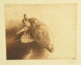Lot # 4386 - “Duck Club Relics” limited editi on etching by Sandy Scott. Print is signed by the