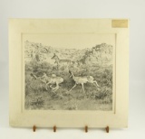 Lot # 4407 - “Pronghorns” stone lithograph print by Ann Milton. Signed, numbered, & titled in