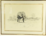 Lot # 4428 - “Old Rogue” pencil drawing by Dino Paravano. Signed and dated 1975. Has original