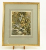 Lot # 4429 - Print of zebra by David Shepherd. Signed in pencil by artist on matted border. Has