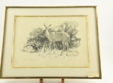 Lot # 4430 - “Kudu Cow” pencil drawing by Dino Paravano. Signed and dated 1974. Has original