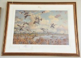 Lot # 4456 - Limited edition print of pintails by Harry C. Adamson with remarque in pencil.