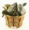 Bushell basket of vintage decoys to include: Pair of Mallards, (2) Bluebills and motorized decoy