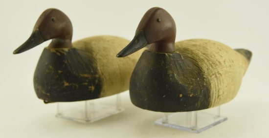 (2) Animal Trap Factory Canvasback drake decoys both in original paint showing gunning wear
