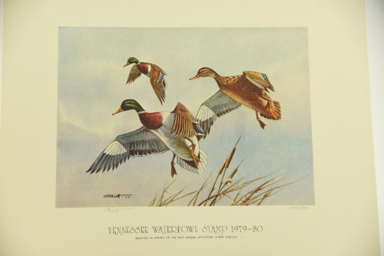 (9) 1979-1980 Tennessee Waterfowl Stamp prints by Dick Elliot in original folders with stamps