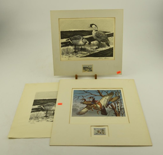 1965 Migratory Bird Hunting Stamp print with stamp matted and signed Stanley Stearns, print of