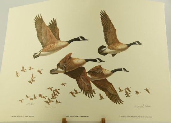 First Flight Canada Geese by Maynard Reece signed lithograph in original folder 222/950, Matted