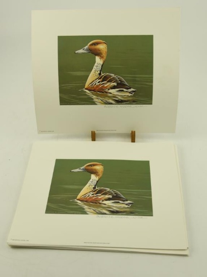 (16) 1986 Male Fulvous Whistling Duck Displaying prints signed Burton E. Moore