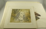 (30) “Yellow Labrador” prints by James P. Fisher (24” x 26”), matted print of “English Setter”